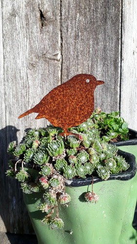 Rusty metal garden birds, Sparrow, Robin, Blackbird, Blue tit, Garden Decor UK - Picture 14 of 56