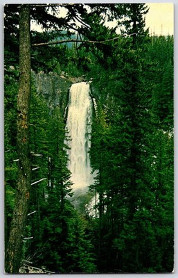 SALT CREEK FALLS Oregon Waterfall Willamette Highway Cascades Vintage Postcard