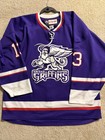 Autographed Marek Tvrdon Grand Rapids Griffins Player Worn Jersey