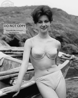 FRANCESCA ANNIS ENGLISCHE SCHAUSPIELERIN PIN-UP - 8 X 10 WERBUNG FOTODRUCK HD