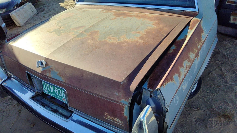 1980 1981 1982 1983 1984 Deville sedán maletero trasero tapa OEM 20723421 Foto 3 de 4