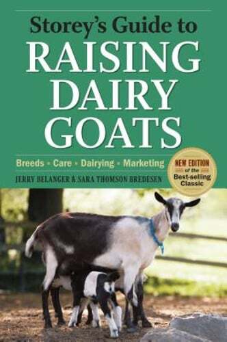 Storeys Guide to Raising Dairy Goats by Jerome D. Belanger: Used