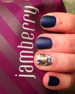 Jamberry Flutterby Partial Sheet