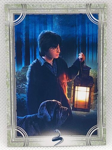 Colección de tarjetas coleccionables de Harry Potter Evolution novela de fantasía película japonesa 10 - Imagen 1 de 6
