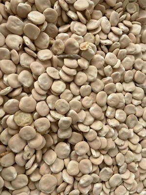 Lupini Secchi SALENTINI Non Trattati 3 Kg