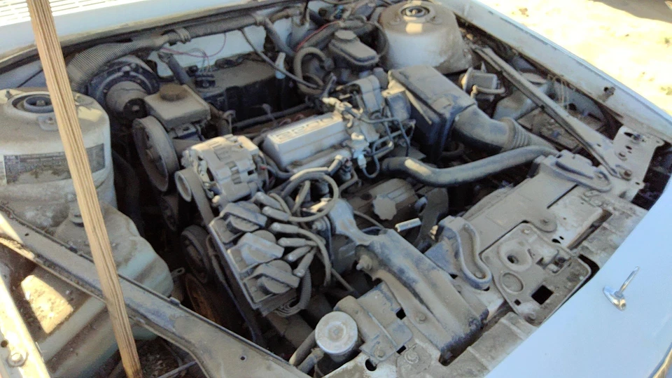 Regulador de ventana eléctrica delantero derecho pasajero Buick Century 82-96 con motor OEM Foto 2 de 4