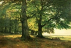 Print Forest shade Landscape Oil Painting Giclee Print Canvas