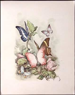 1973 Italian Line SS Leonardo Da Vinci First Class Dinner Menu Butterfly Cover 