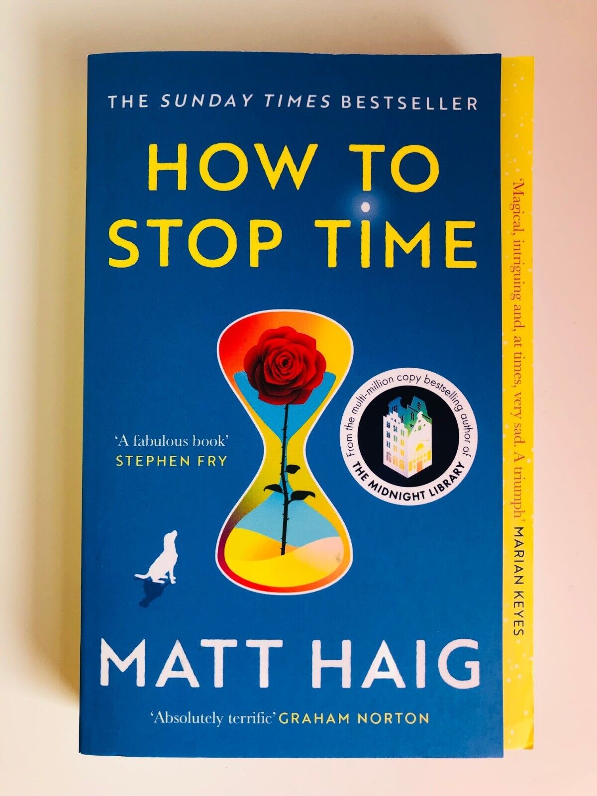 How to Stop Time: A Novel by Haig, Matt