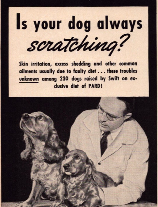 Cocker Spaniel Vintage 1939 Life Print Ad Dog Scratching