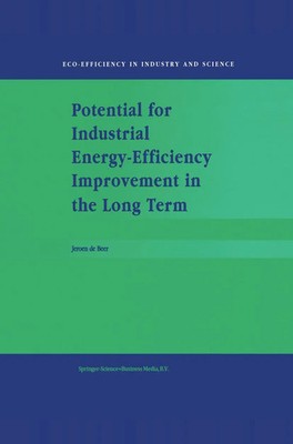J. De Beer | Potential for Industrial Energy-Efficiency Improvement in the...