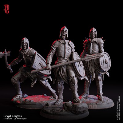 Crypt Knight by Flesh of Gods | D&D | DnD | Print on Demand
