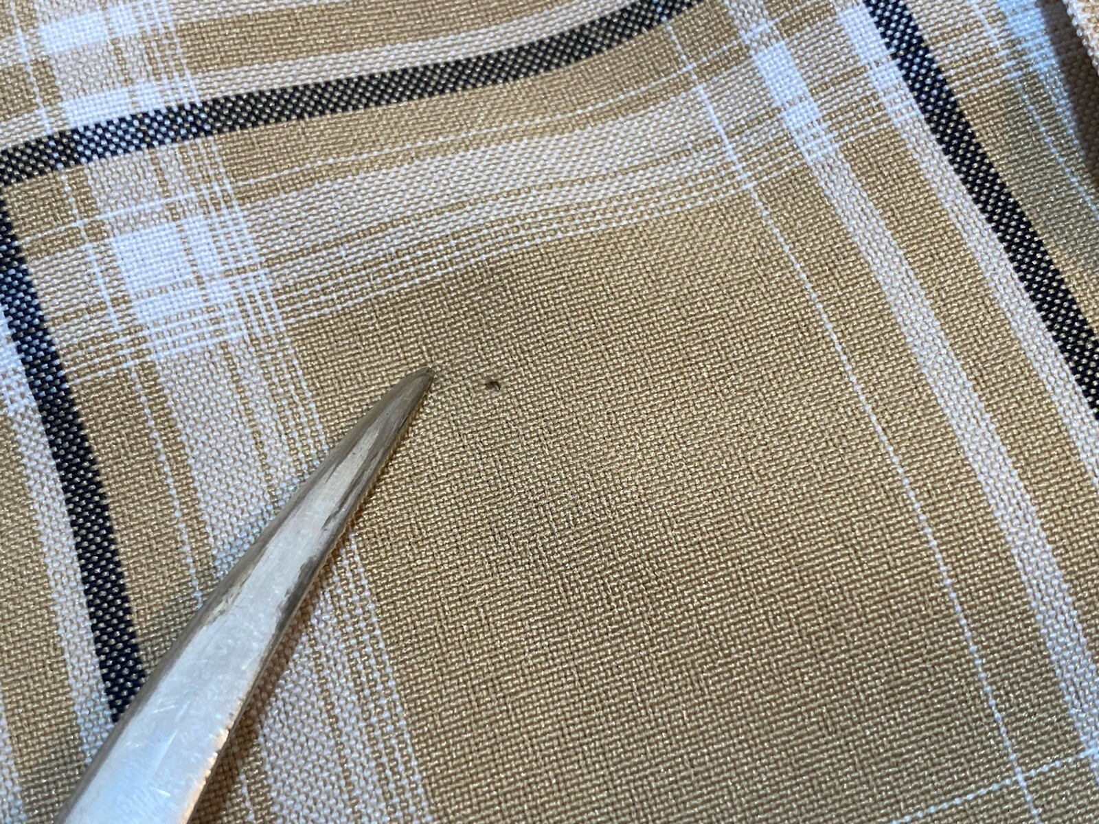 Picture 9 of 11