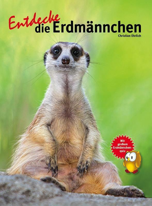Thumbnail - Entdecke Die Erdmännchen | Buch | 9783866592827