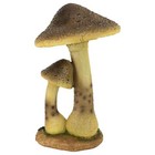 Picture 4 of 6