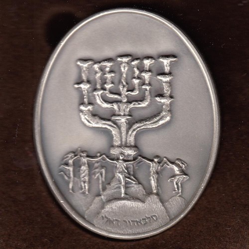 Salvador Dali Tribes of Israel REUBEN Oval Color Art Medal 105g Pure Silver 1966 - Picture 4 of 7