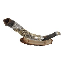 Shofar Yemenite Kudu Horn 16-19"' Sterling Silver Plated Lion of Judah  Stand