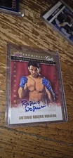 2009 Upper Deck Prominent Cuts Antonio Rogerio Nogueira Auto Autograph Card
