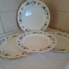 Colclough Linden Dinner Plate, 27cm x 6 