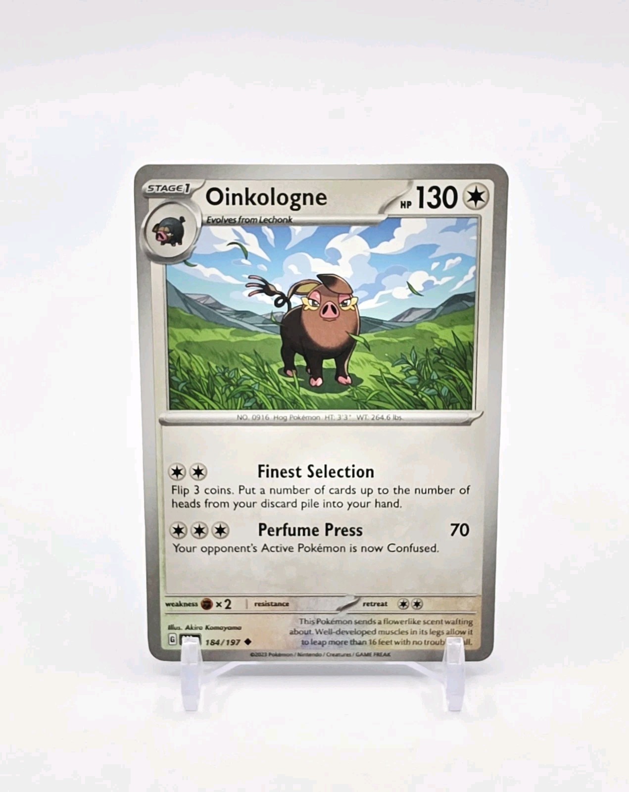 Oinkologne Uncommon Pokémon TCG Obsidian Flames 184/197