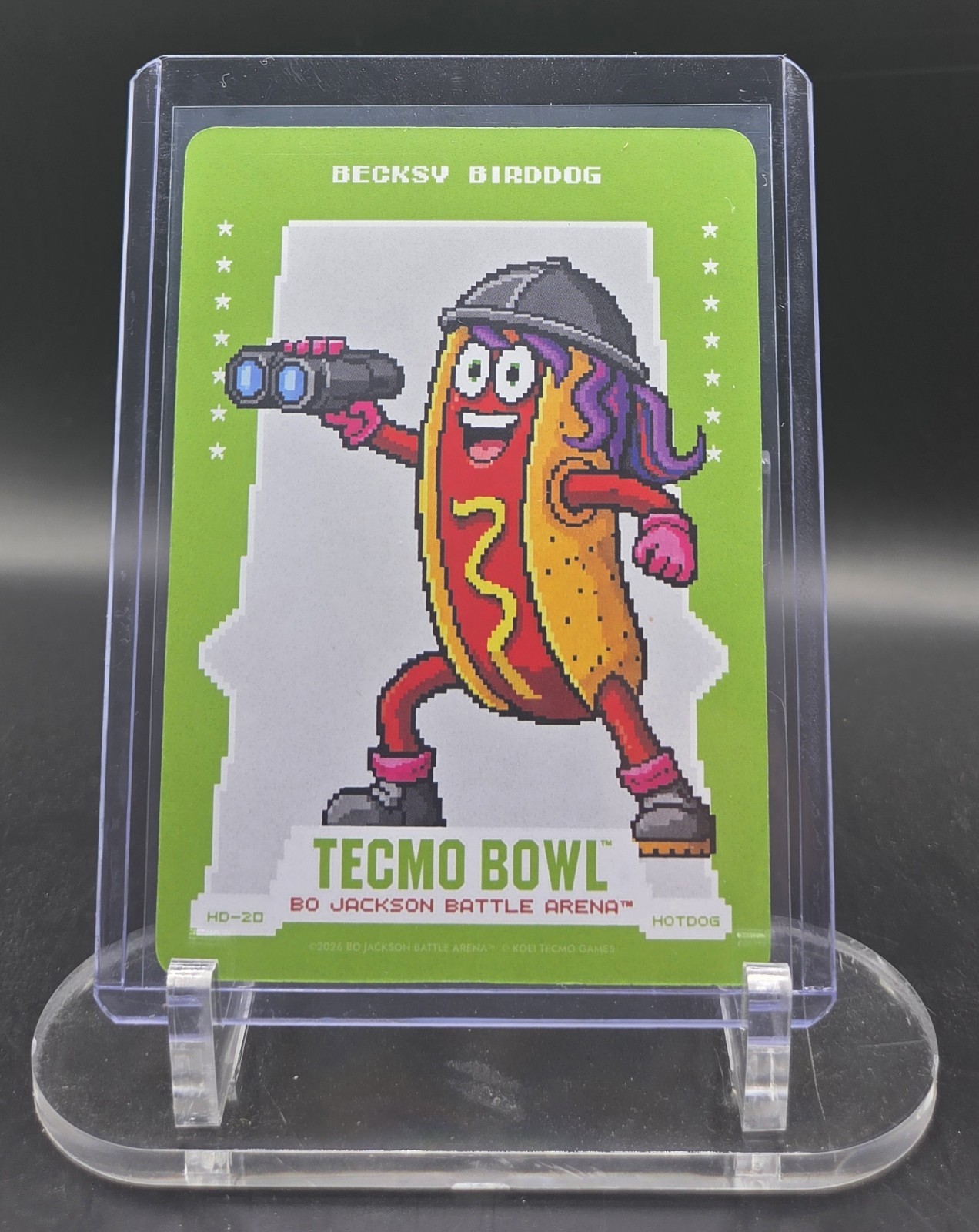 BECKSy Birddog HD20