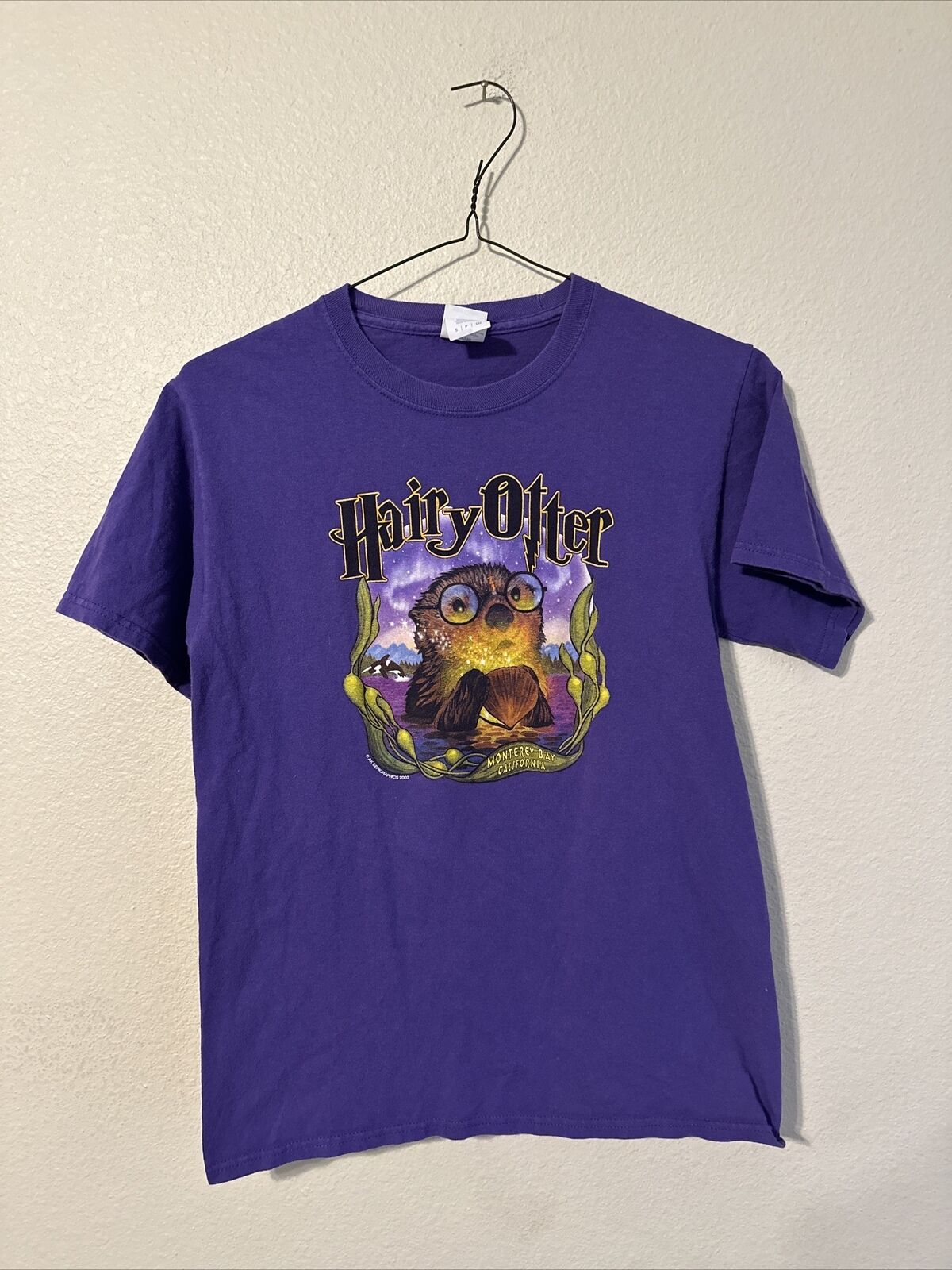 Camiseta vintage 2002 Harry Potter película parodia peluda nutria talla pequeña púrpura