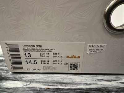 Nike LeBron 22 Blacklight Size 13 FZ1094-001 | eBay