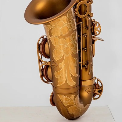 Professional Popular Saxophone Alto E sax instrument High Quality With Case 