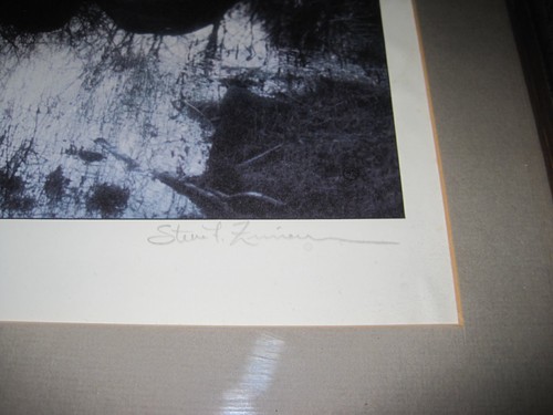 Steven Zimmerman "Early Morning Mist & Morning Haze" foto/stampe 22x19" - Foto 9 di 11
