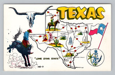 Postcard Texas TX Lone Star State Map Cowboy Flag Flower Advertising Chrome