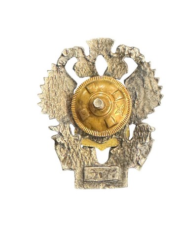 Russian Ustinov Naval Medical Institute Badge – MRMU Screw-Back Military Pin - Picture 2 of 3