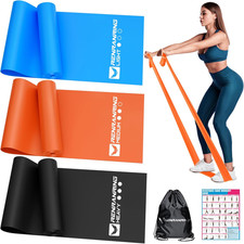 Resistance Bands for Working Out, Exercise Bands for Physical Therapy, Stretch,