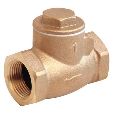 1-1/2'' Npt Bronze Swing Check Valve, 10F294