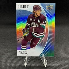 TROY TERRY 2023-24 Upper Deck Allure #35 Anaheim Ducks