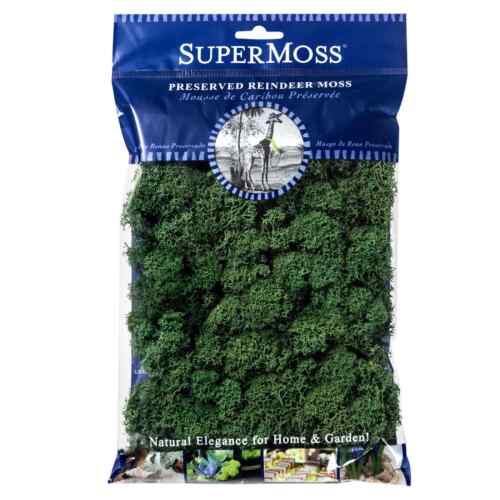 SuperMoss® Preserved Reindeer Moss, Forest 12" x 1.5" x 7.5" package size