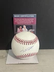 Junior Caminero Autographed Signed MLB Baseball w/ JSA COA