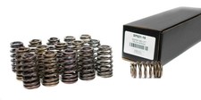 Brian Tooley SP021-16 Perf .625 Lift  Drop-In Valve Springs Set for 2009+ 5.7L