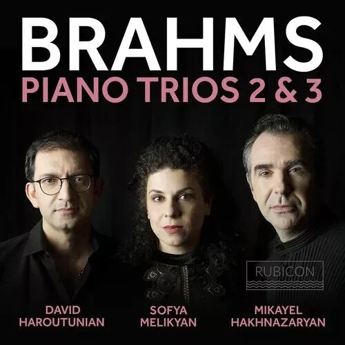 Johannes Brahms : Piano Trios 2 & 3 - Mikayel Hakhnazaryan (CD) Album (2021) New