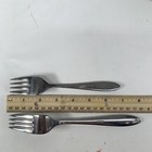 Foto 12 di 13