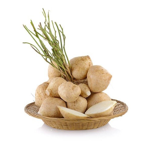 100++ Jicama Yam Bean Seedss (Pachyrhizus erosus) Mexican Turnip - Picture 5 of 9