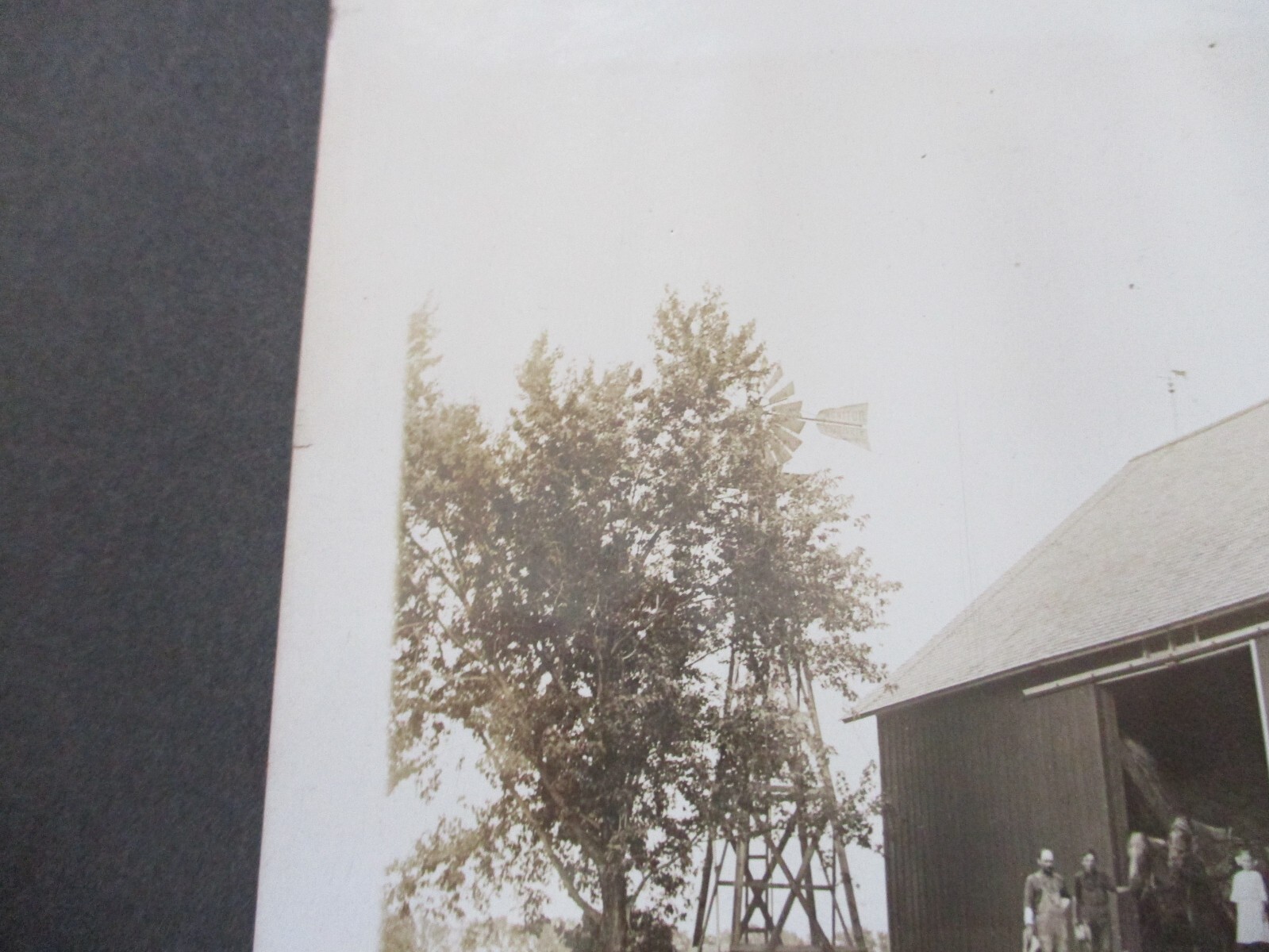 Picture 8 of 13