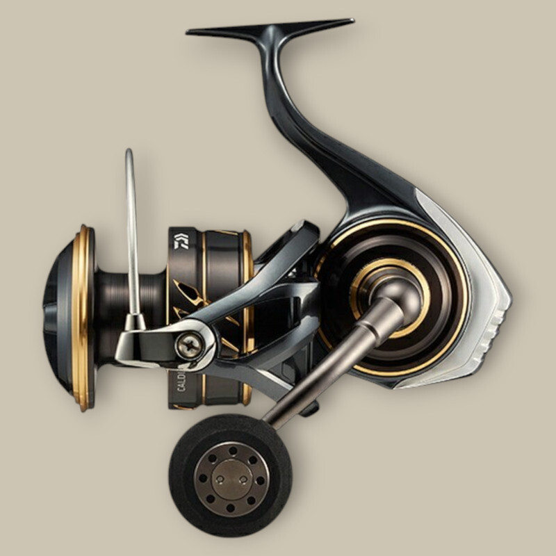 Daiwa 22 Caldia SW 18000 Spinning Reel 2022 Model - New | eBay