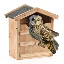 Owl House Prebuilt Box for Outside Screech Owls & Kestrels - Large Handmade W...