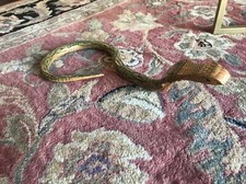 CARVED WOOD WOODEN WIGGLE SNAKE play toy Gift idea