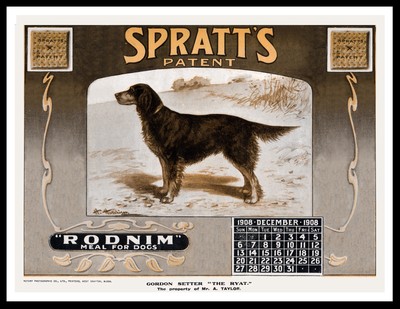 GORDON SETTER DOG FOOD CALENDAR ADVERT PRINT MOUNTED READY TO FRAME