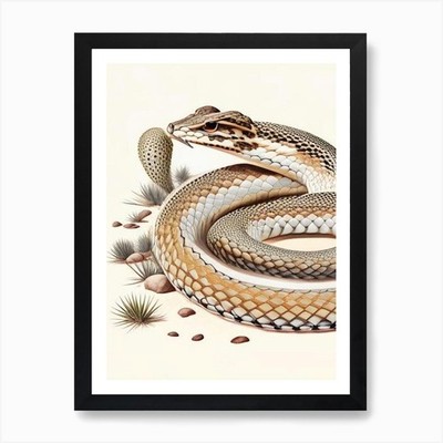 Western Diamondback Klapperschlange Vin gerahmtes Wandbild Poster Leinwanddruck Bild