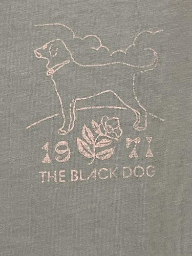 The Black Dog Martha’s Vineyard Women’s T Shirt Tee Aqua Green Cap Sleeve Size M - Picture 3 of 7