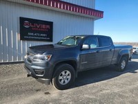 2019 Chevrolet Colorado 4WD Work Truck