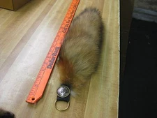 Tanned Red Fox Tail Key Chain Trapping Fur Coats With Ring & Concho