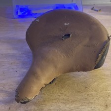 eBay Auction Picture